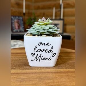 One Loved Mimi Faux Succulent